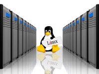 Managed Linux Server für JTL-Shop5 (monatlich)